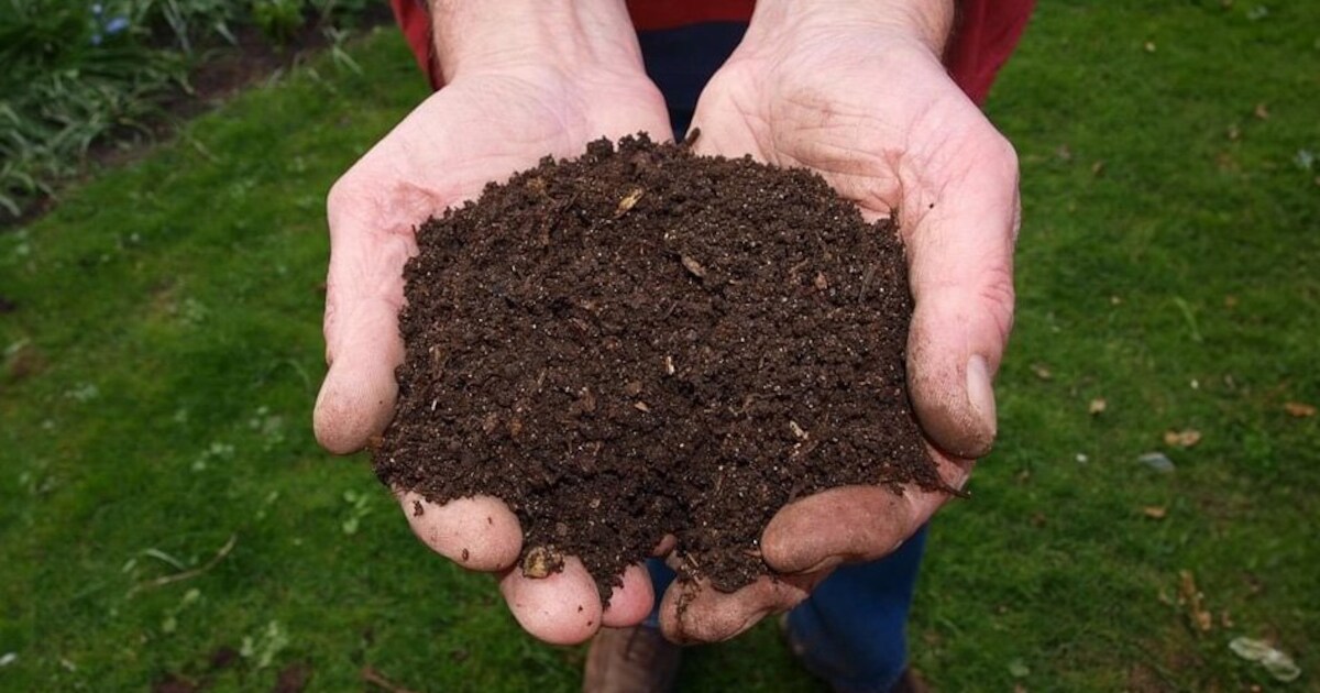 Inwoners kunnen gratis compost ophalen bij de gemeentewerf in Bovenkarspel