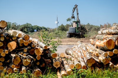 Image related to the article