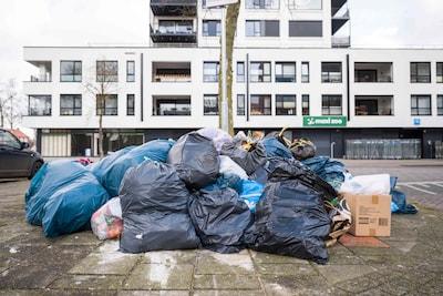 Image related to the article