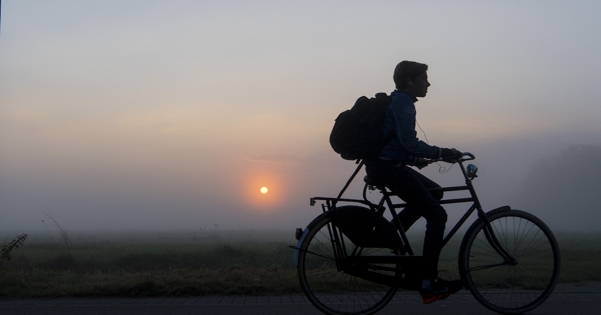 Gemeenteraad Dijk en Waard neemt verkeersveiligheidsrapport over na veel ongelukken