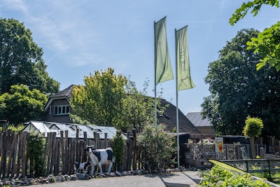 Bijna de helft van de boeren stopt ermee: wat gebeurt er met de gebouwen en de weilanden?