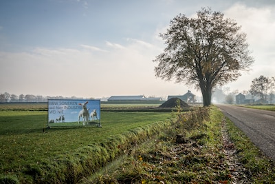 Image related to the article