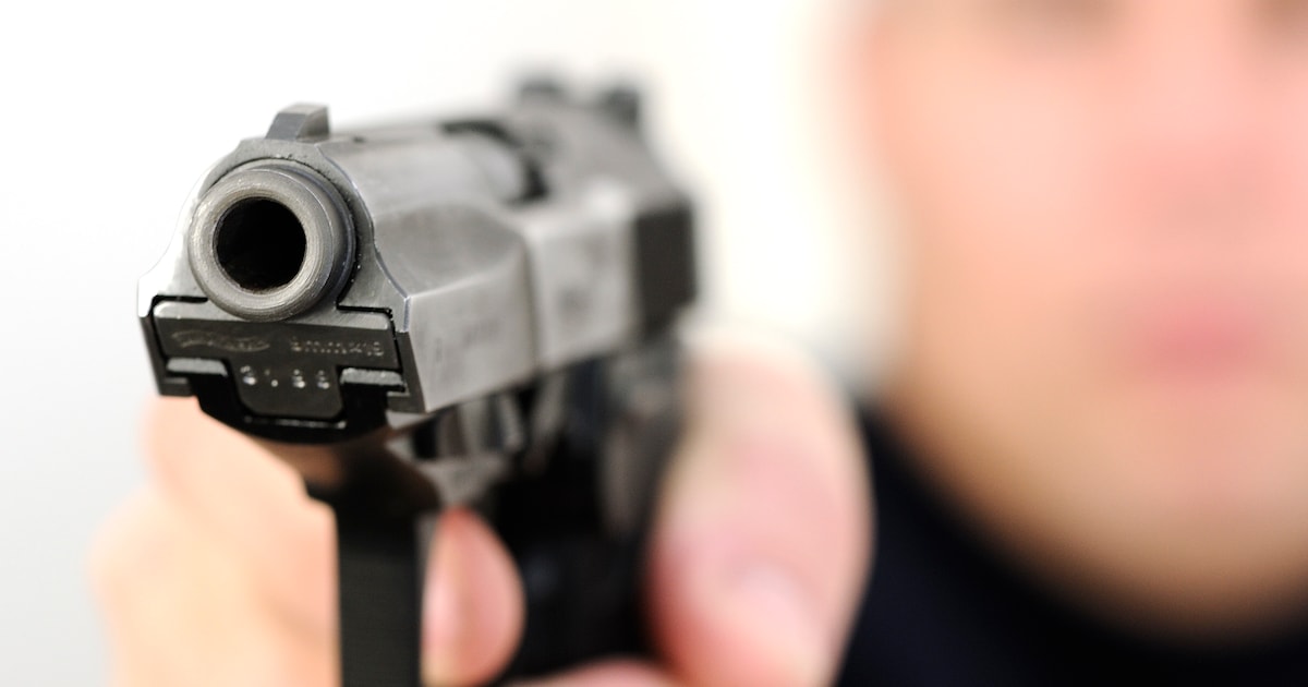 Werkstraf van 100 uur voor illegale wapencollectie in Veghel