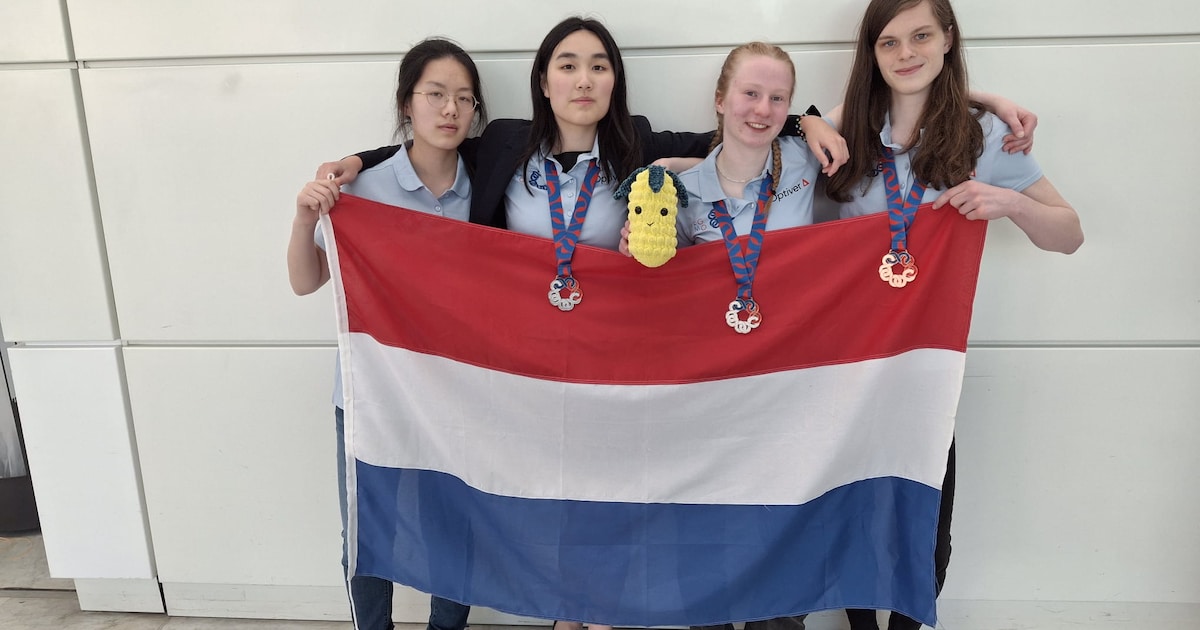 Hengelose Fenne Meijer (18) wint zilver op wiskundewedstrijd