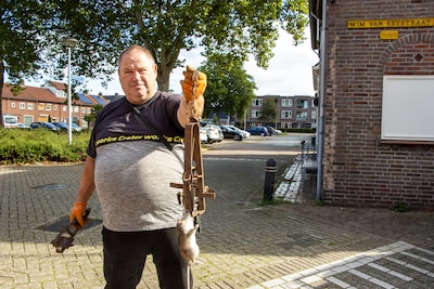 Dorp is helemaal klaar met ratten: ‘We vonden zelfs een levende rat in het ledikantje van mijn dochtertje’