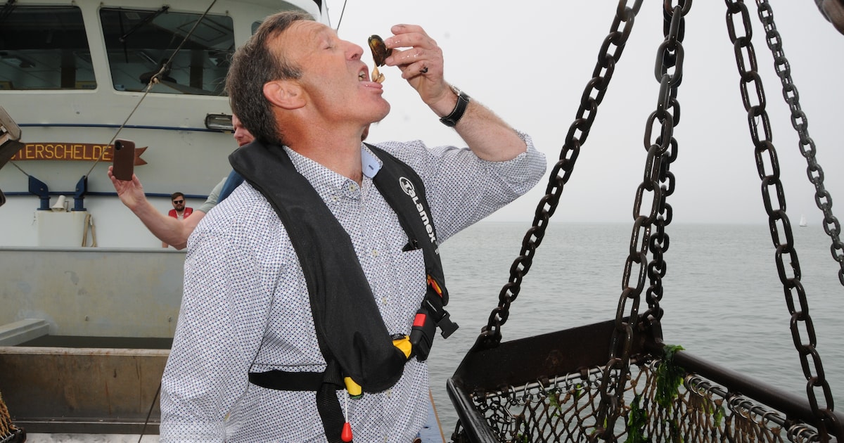 Eerste bodemmosselen van het jaar opgevist: sector werkt aan nieuw experiment op Noordzee