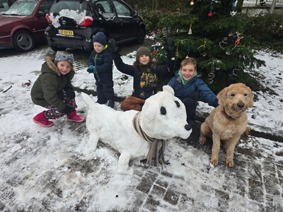 Image related to the article