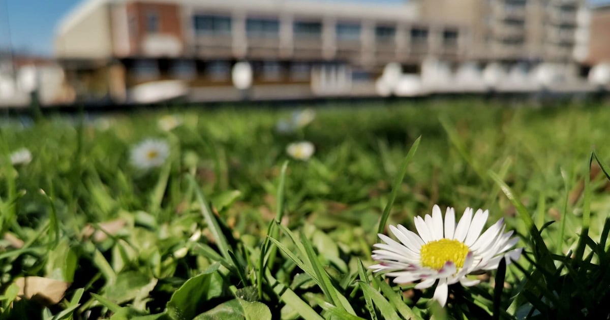 Weekendtips: deze dingen doe je in Gouda (17 - 19 april)