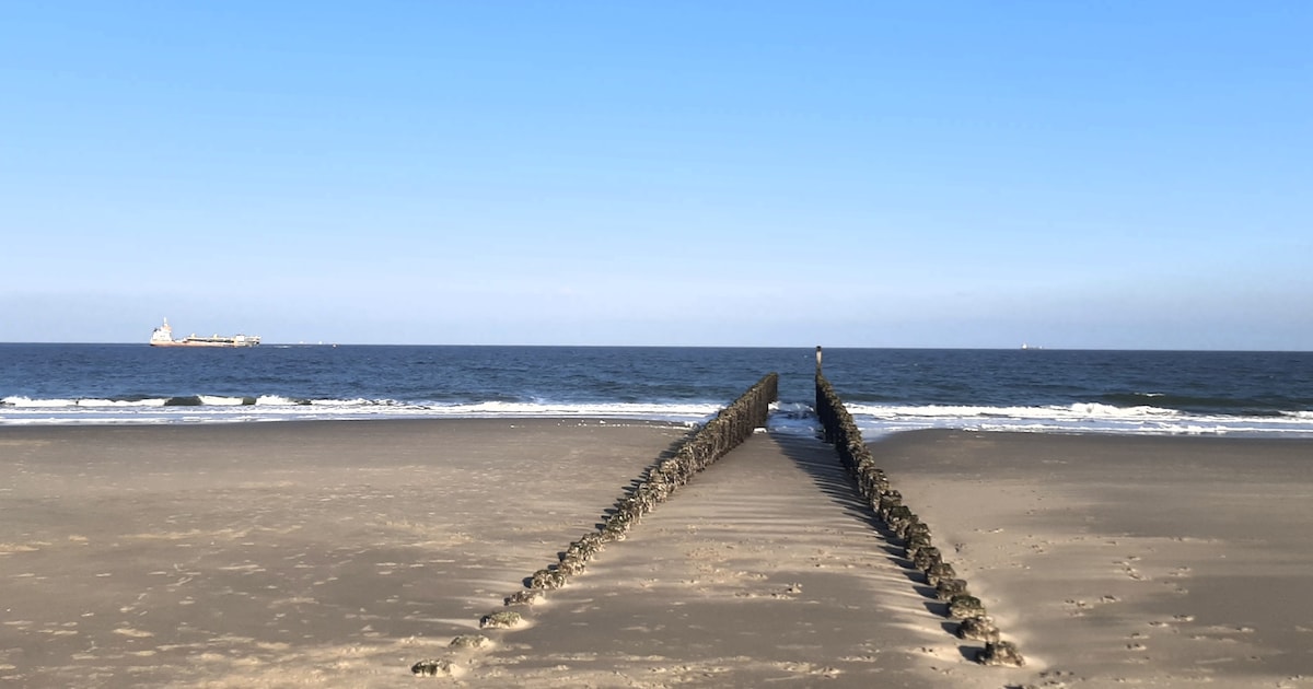Lezing in Westkapelle over zand uit Doggerland en vondsten aan de kust