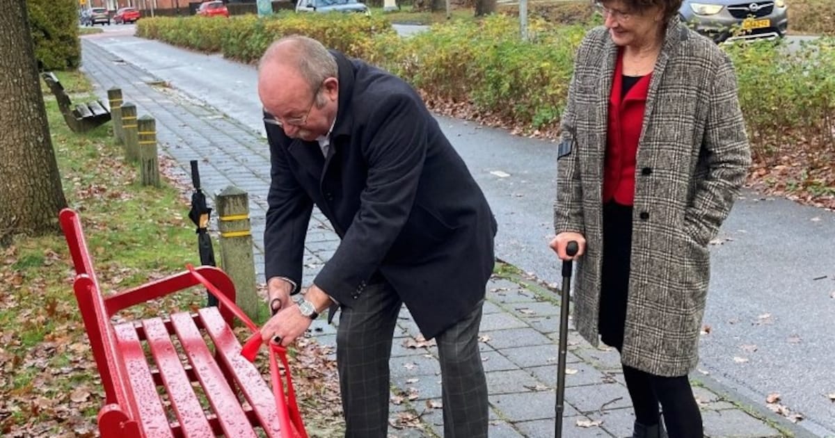 Rood bankje in Roden symbool tegen femicide