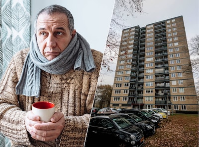 Image related to the article