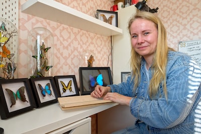 Image related to the article