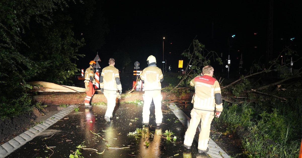 Boom op spoor zorgde voor stilgelegd treinverkeer tussen Meppel en Zwolle