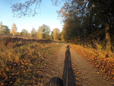 Mountainbikers verkennen Veluwse bossen tijdens Swolsebostocht