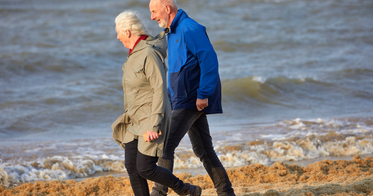 Training ‘Wandel je in Balans’ in Gorinchem