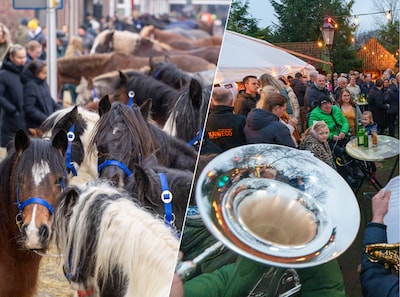 Image related to the article