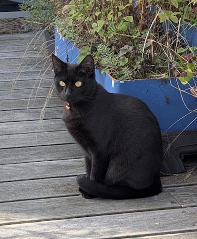 Image related to the article