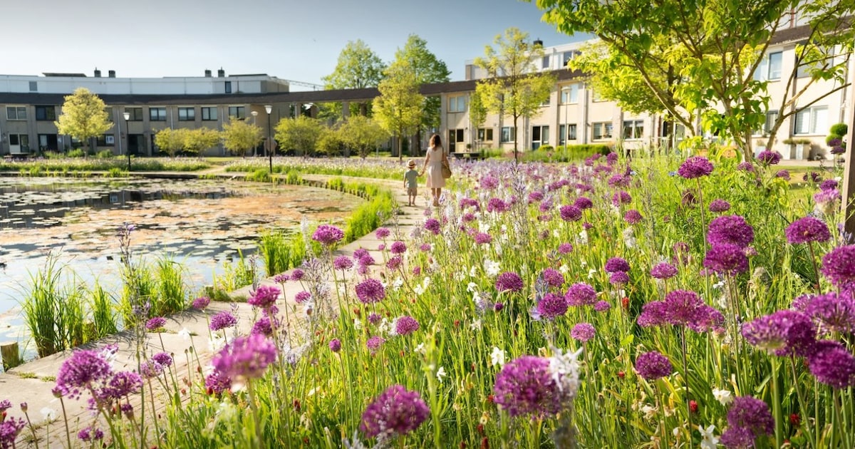 Alkmaar maakt kans op World Green City Award