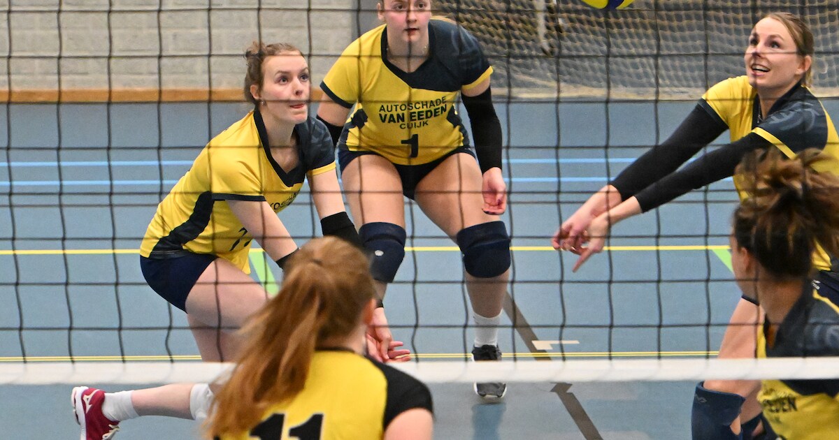 Huur sporthal schiet omhoog, volleyballers vrezen voor verlies van leden