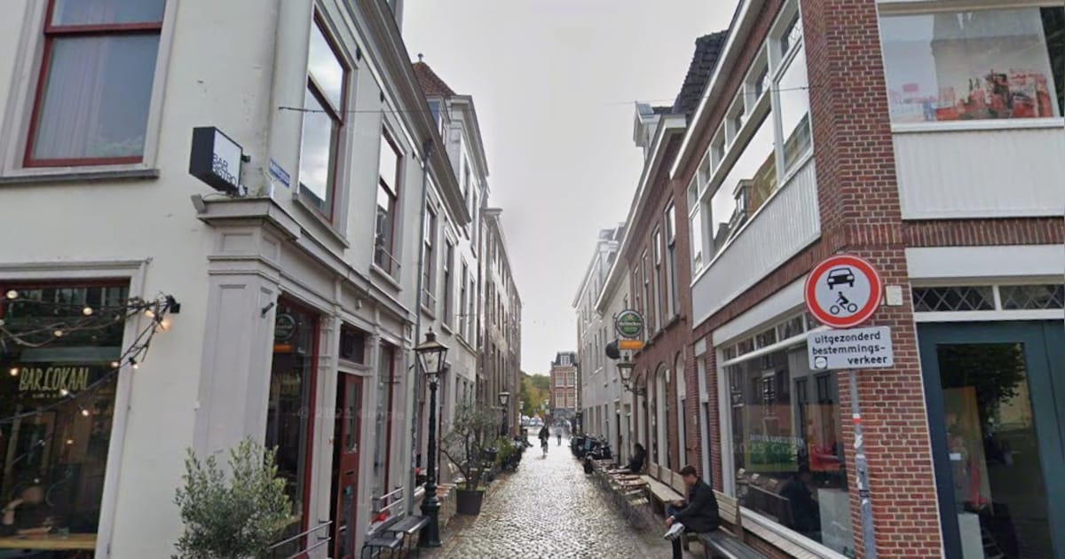 Mysterie over de Hartesteeg, Valentijnsdiner in Leiden en meer nieuwtjes van afgelopen week