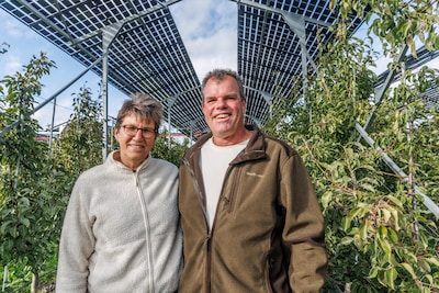 Tegen hagel én hitte: fruitteler Jan Brouwer heeft grootste zonneveld boven fruitbomen van Nederland