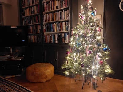 Een kerstboom met negen standjes, wat willen we nog meer?