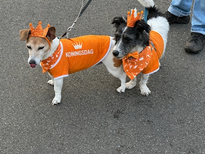 Terugblik op Koningsdag 2026 in Breda: zon, spellen en veel oranje