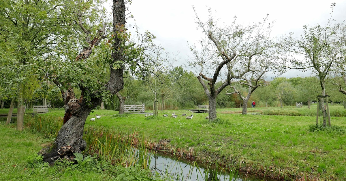 Peuters ontdekken natuur op Landgoed Bredius in Woerden
