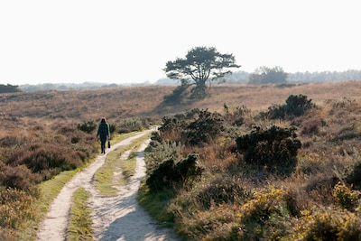 IVN houdt wandeling op Brouwhuissche Heide op zondag 1 februari