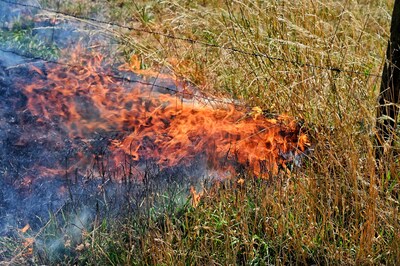 Jongeren stichten brand in weiland in Berkel-Enschot, oplettende voorbijganger slaat alarm