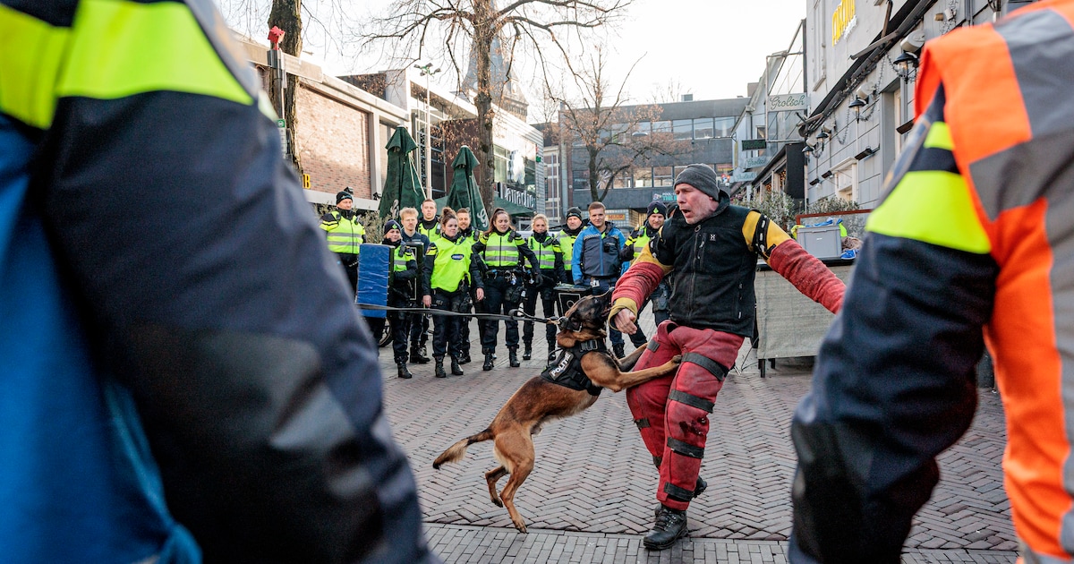Winkelend publiek schrikt zich een hoedje van grote politiemacht en hamerzwaaiende ‘gek’ in Enschede