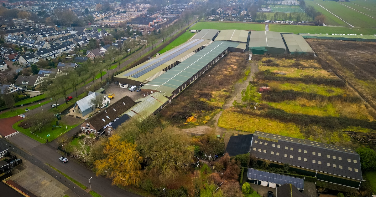 Twintig jaar geleden grond gekocht, nu actie op plek van Bos Beton