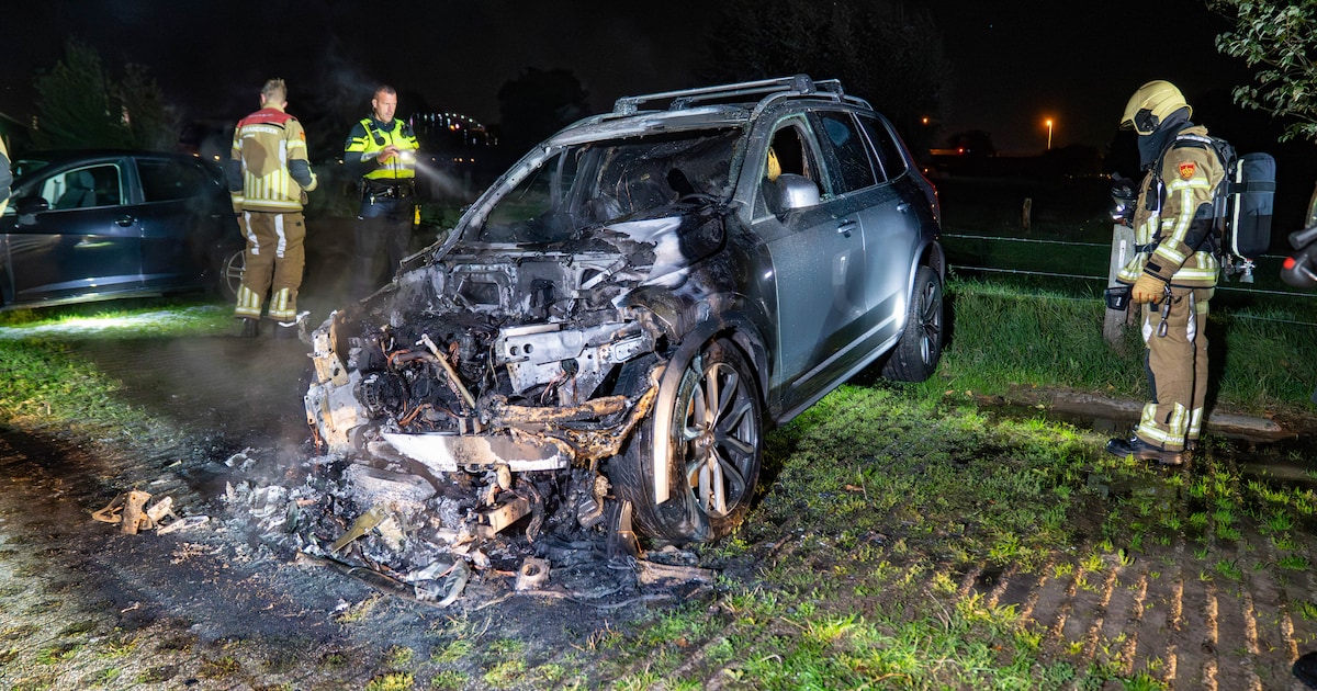 Aanmaakblokjes gevonden naast uitgebrande auto in Deventer