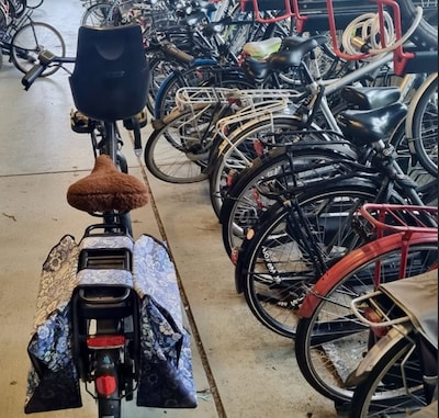 Fietsendief uit Den Bosch knipt slot door voor ogen van wijkagent
