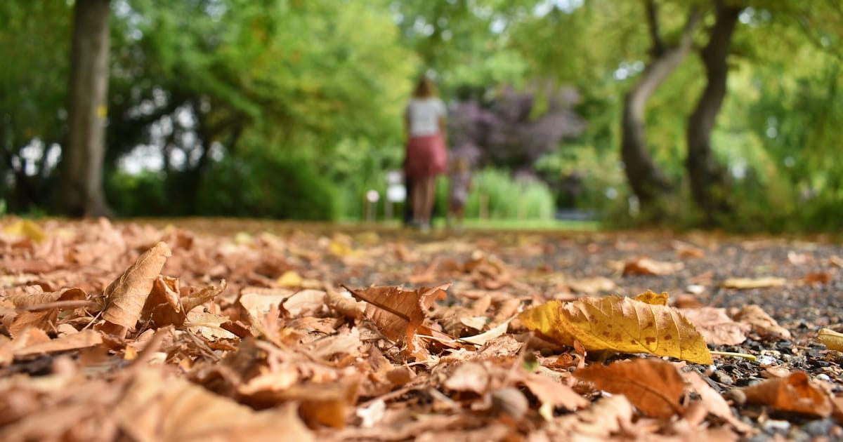 Zon of regen? Dit is de weersverwachting voor oktober in Almelo