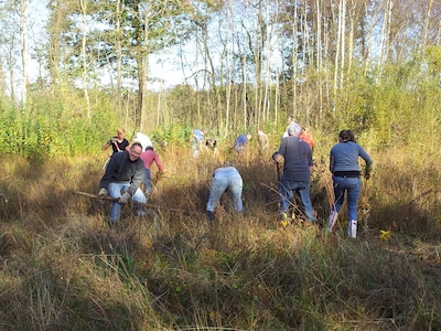Zin om een dagje te werken in de natuur? Op deze negen plekken kun je dit weekend de handen uit de m