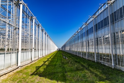 Waarom huisvesting voor arbeidsmigranten ook in Pijnacker-Nootdorp belangrijk is