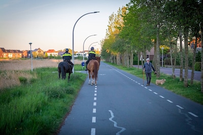 Familie krijgt om 01.30 uur verlossend telefoontje over vermiste Jojo (81): ‘Alleen maar van durven 