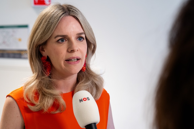 Hanneke van der Werf (D66) 