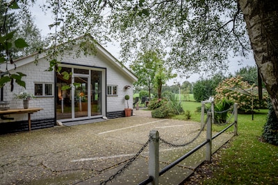 Image related to the article