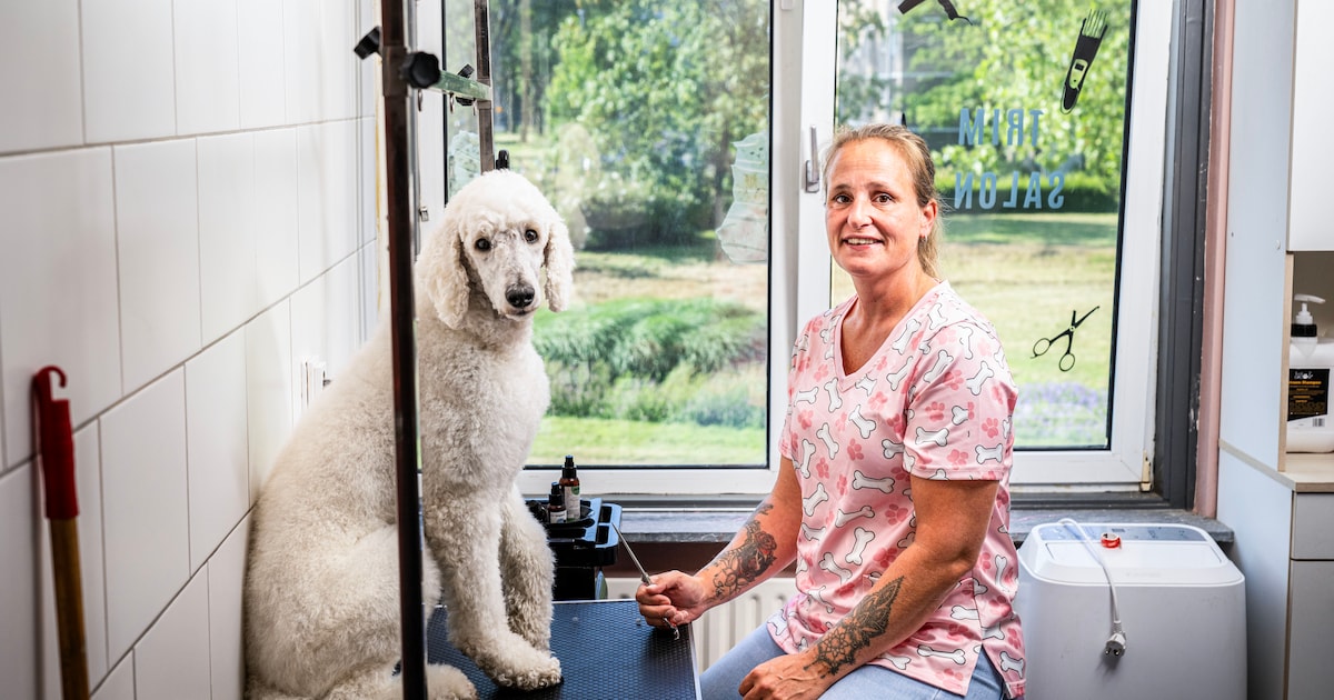 Door dichte Algerabrug slaapt Tamara straks met haar gezin op camping in Oude-Tonge