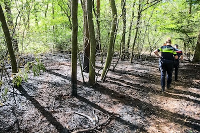 Stuk bos gaat in vlammen op in Beekbergen