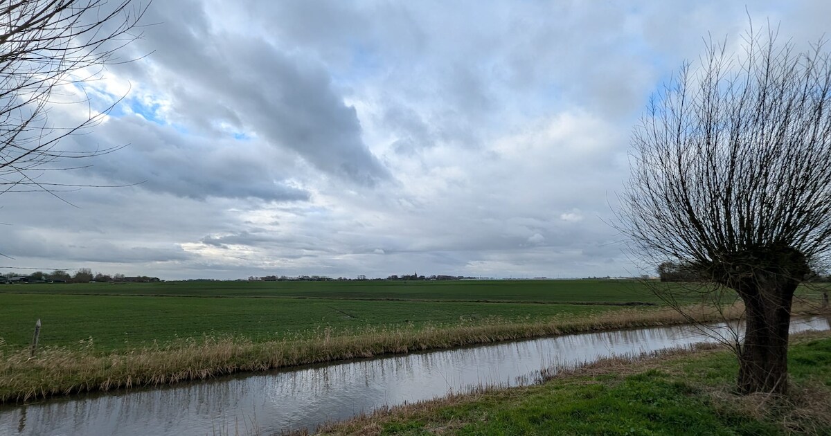 Tuinders houden het netjes: ‘In alle sloten gemeten waarden beneden de norm’