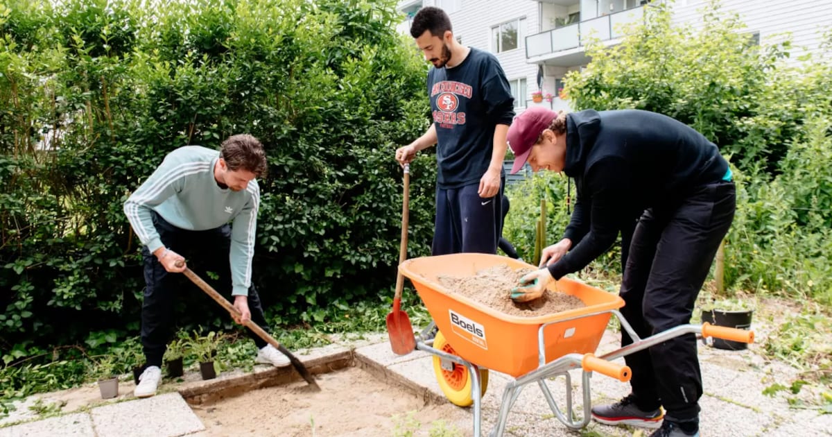 NK Tegelwippen van start in Aalsmeer