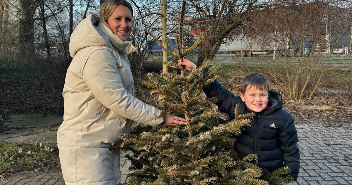 Kerstbomentraditie is terug: ‘Onze kinderen motiveren om naar buiten te gaan’