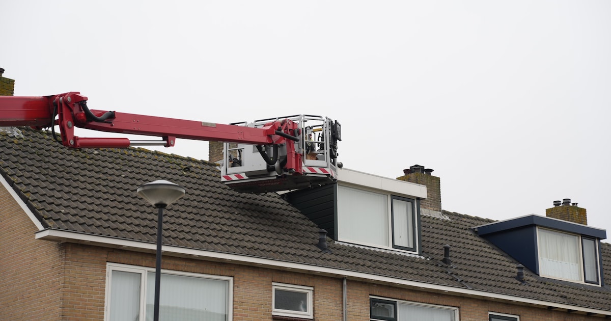 Kraai vast in dakkapel aan Vestalaan Heerhugowaard