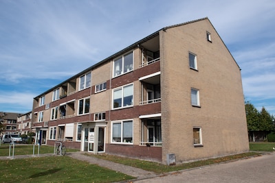 Image related to the article
