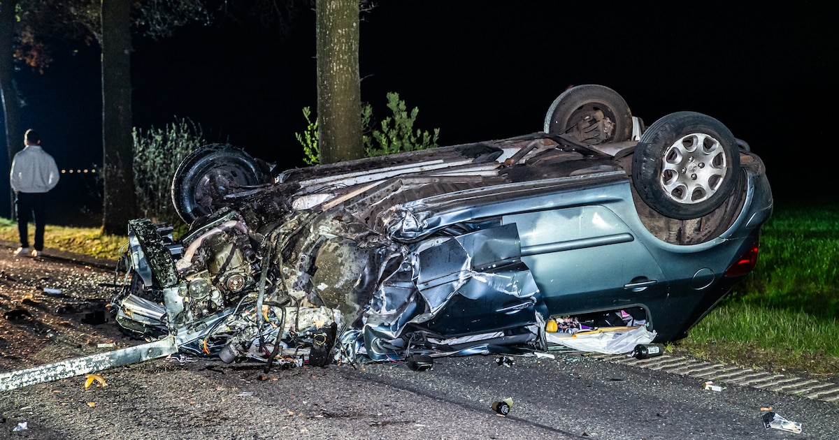 Ravage nadat auto tegen boom botst in Boijl