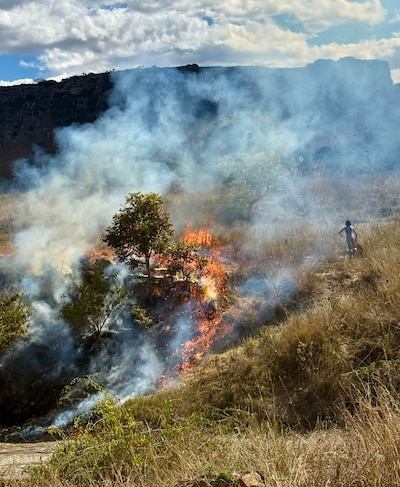 Image related to the article