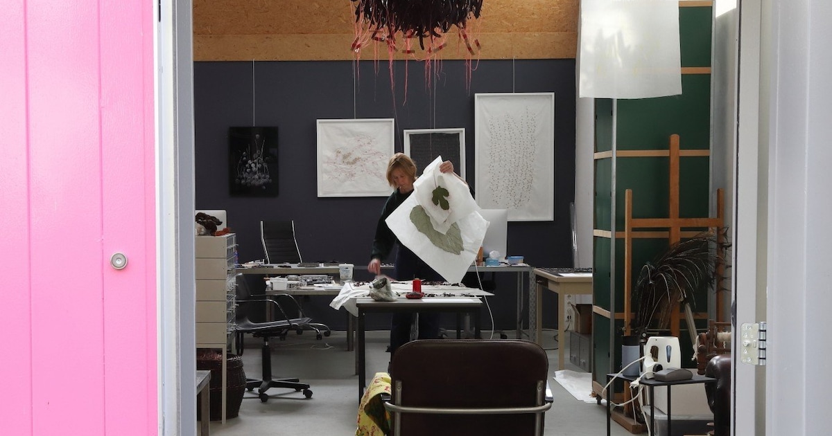 Open Atelierweekend: deze Deventer kunstenaars zetten de deuren open